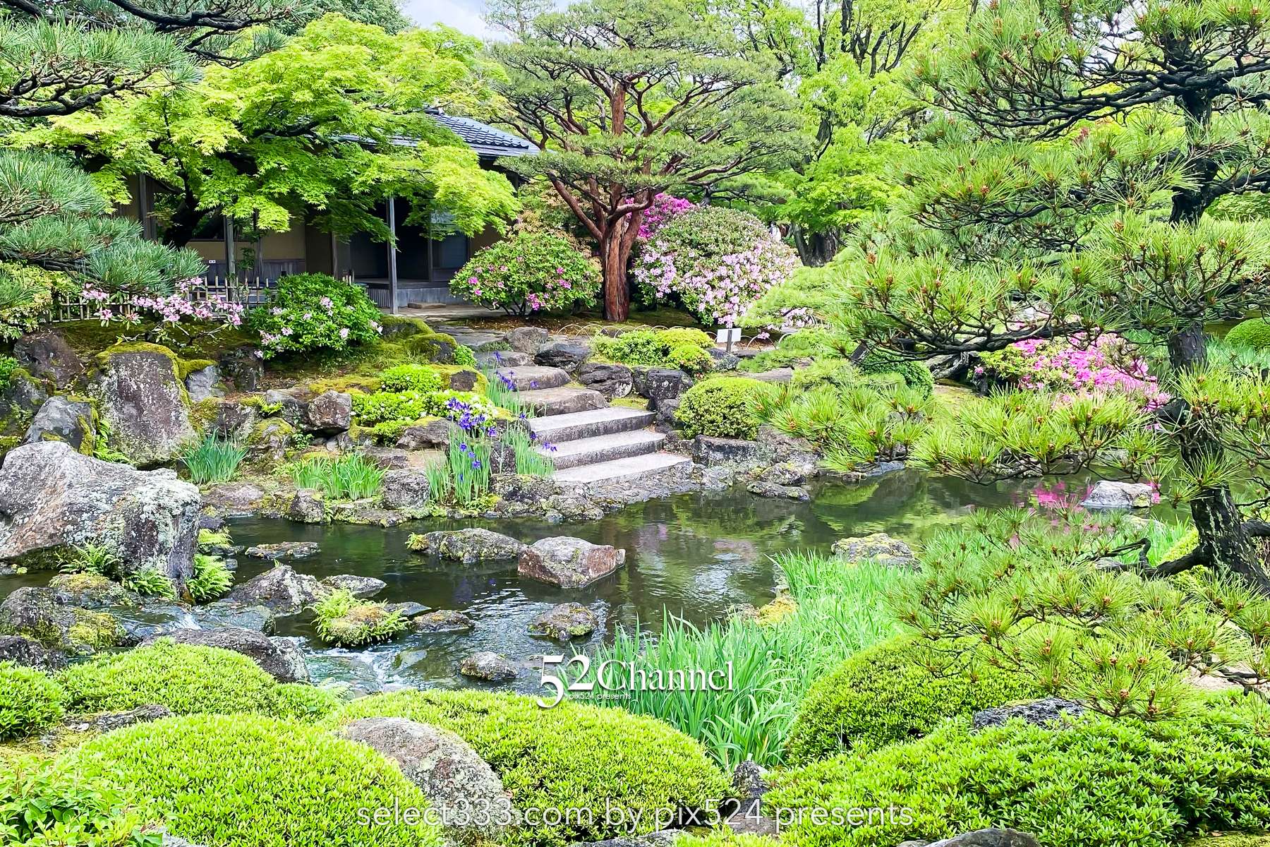 由志園：牡丹の見頃・四季の花々が溢れる日本庭園完全ガイド！アクセスと撮影・周辺観光！