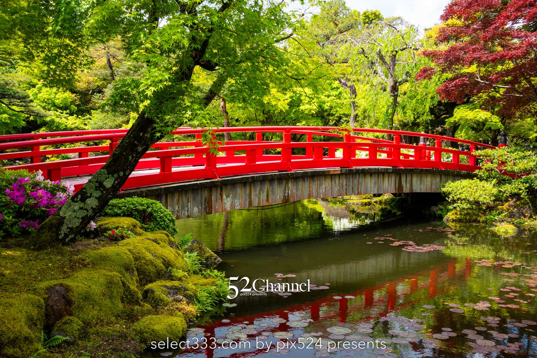 由志園：牡丹の見頃・四季の花々が溢れる日本庭園完全ガイド！アクセスと撮影・周辺観光！