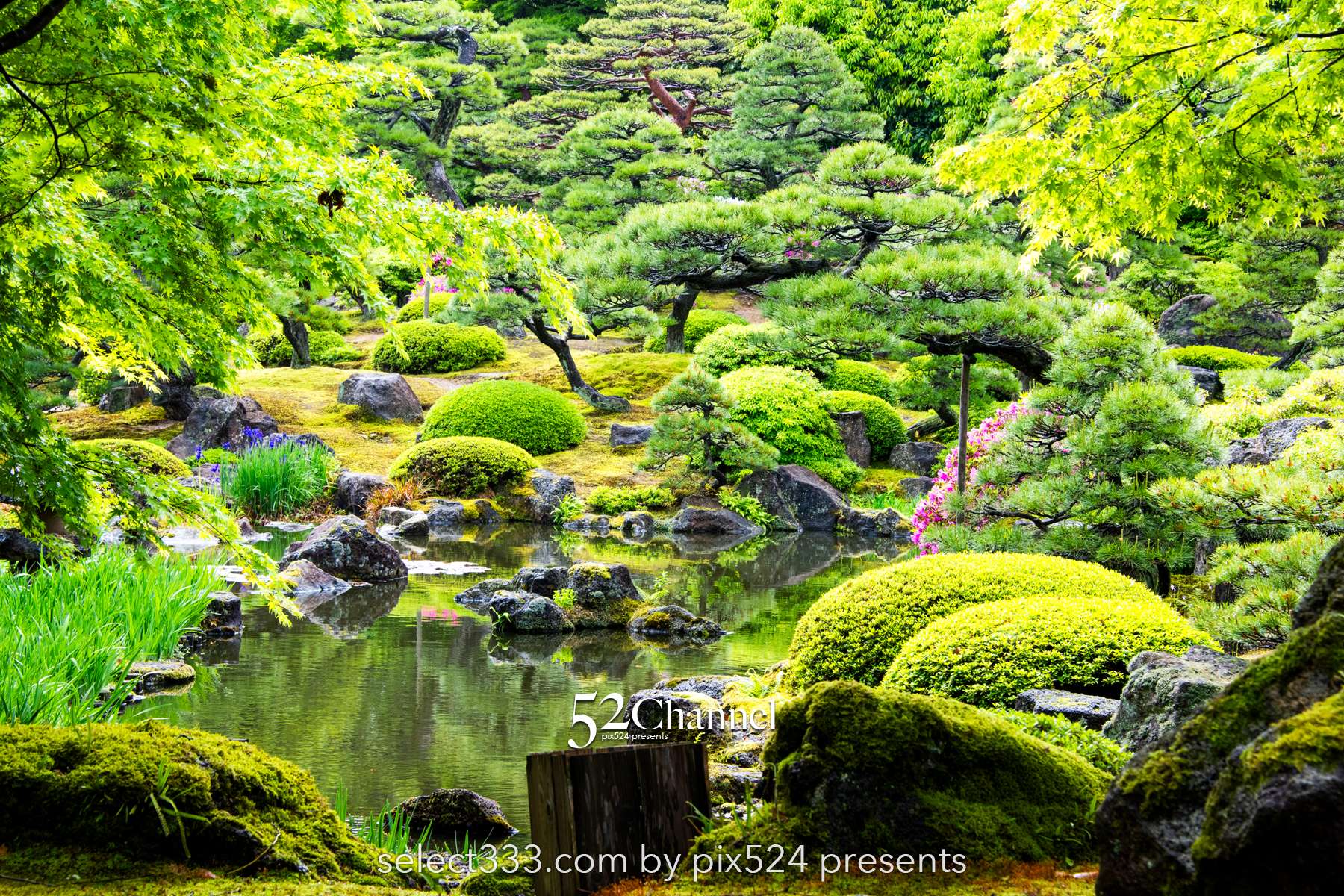 由志園：牡丹の見頃・四季の花々が溢れる日本庭園完全ガイド！アクセスと撮影・周辺観光！