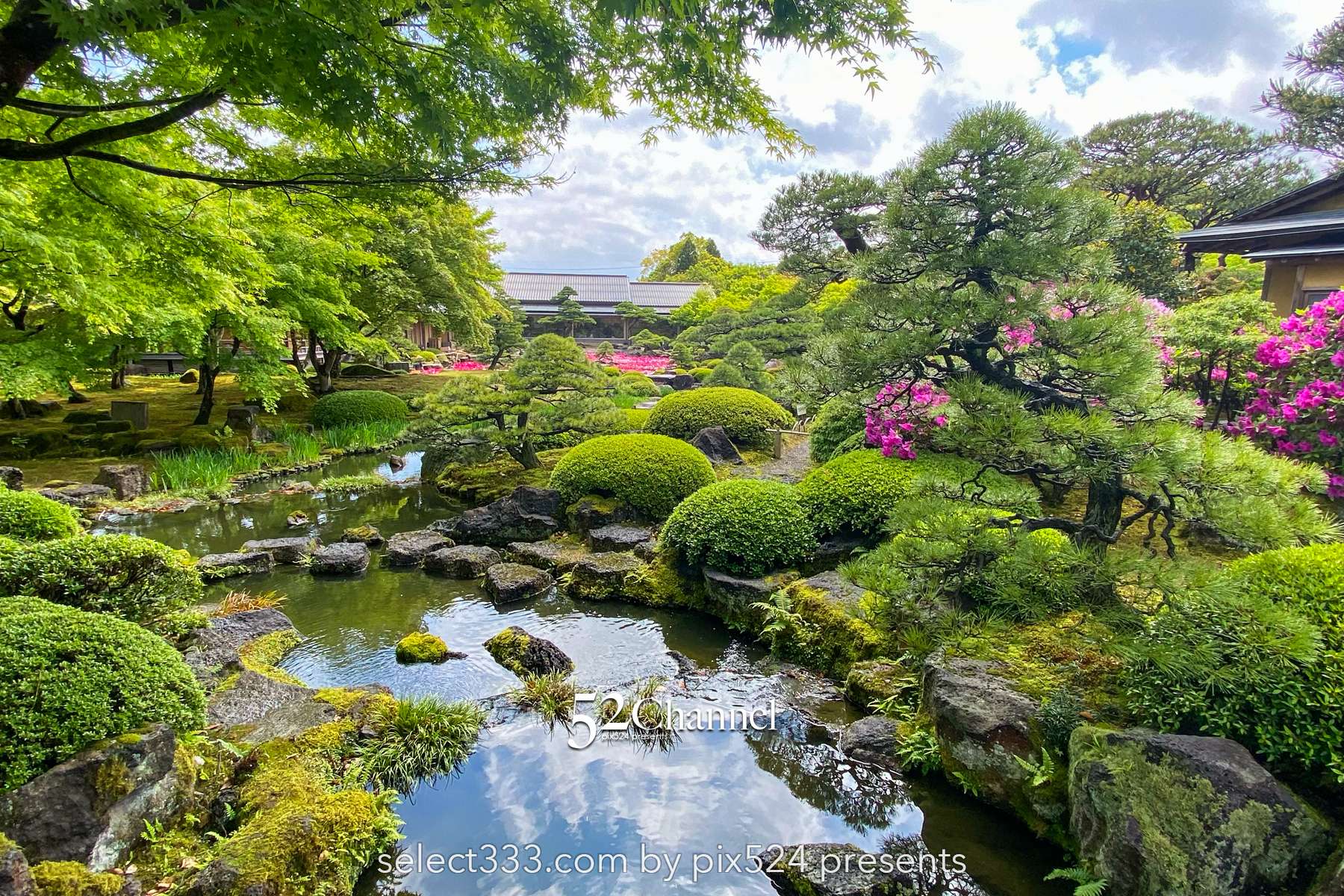 由志園：牡丹の見頃・四季の花々が溢れる日本庭園完全ガイド！アクセスと撮影・周辺観光！