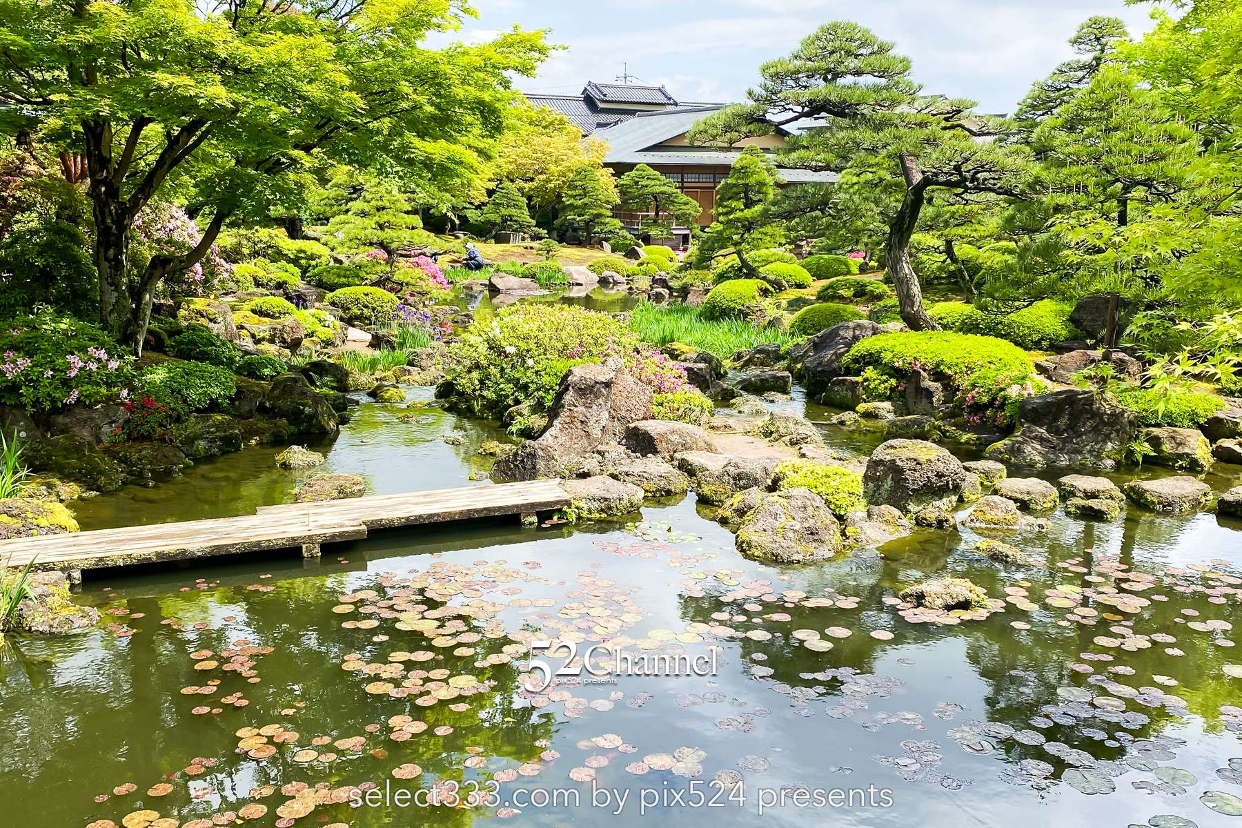 由志園：牡丹の見頃・四季の花々が溢れる日本庭園完全ガイド！アクセスと撮影・周辺観光！
