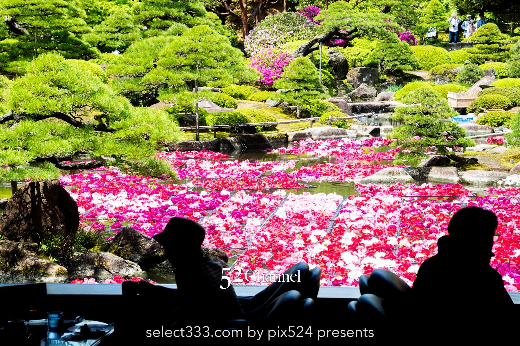 由志園：牡丹の見頃・四季の花々が溢れる日本庭園完全ガイド！アクセスと撮影・周辺観光！