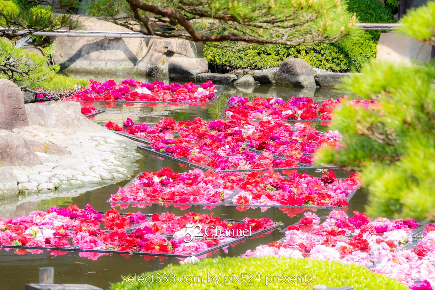 由志園：牡丹の見頃・四季の花々が溢れる日本庭園完全ガイド！アクセスと撮影・周辺観光！