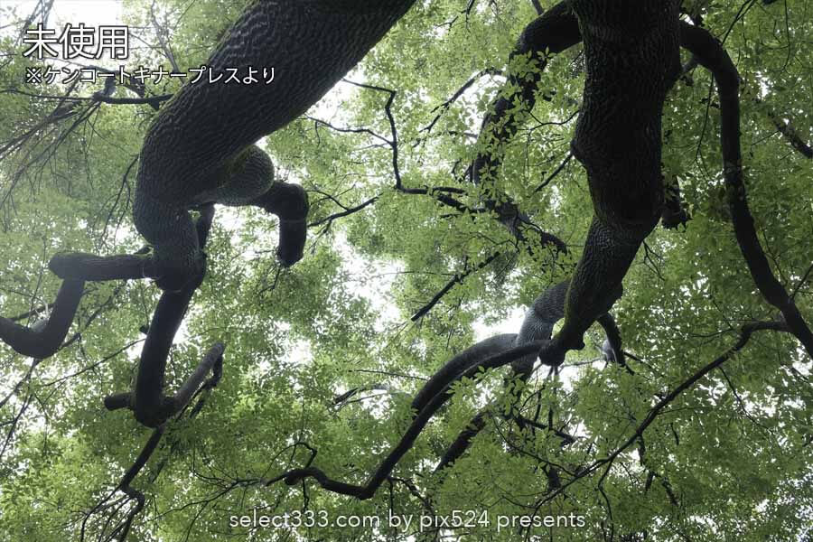 新感覚ソフトフィルター"ブラックミスト"コントラスト制御!シネマティックな質感に