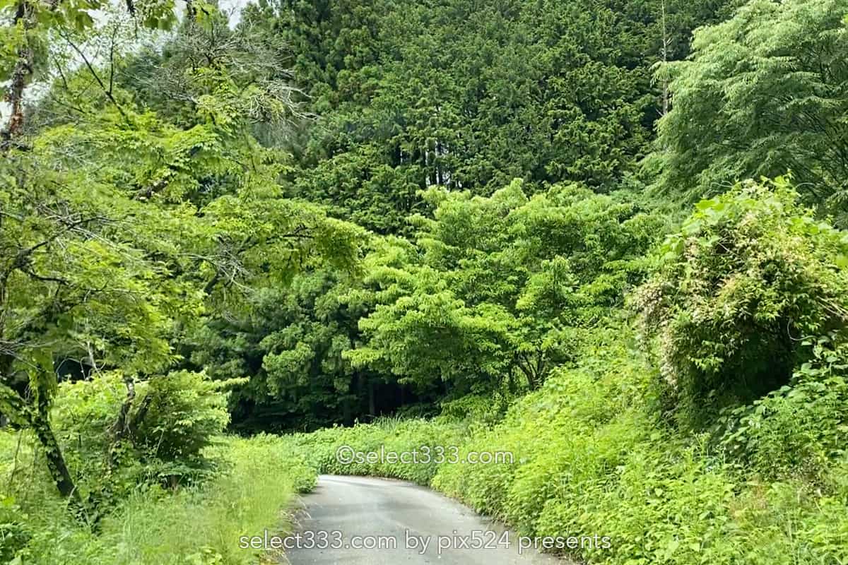 撮影旅行あるある！ガソリンが足りない！GSを求めて数10キロ！山道走行給油は早め早めに