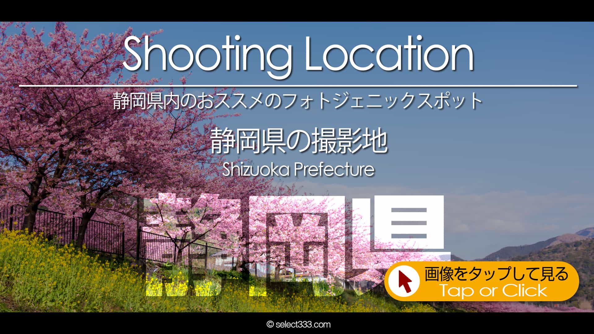 写真を楽しむブログ｜静岡県の撮影地：静岡県のフォトジェニックスポットなど静岡県内の撮影地