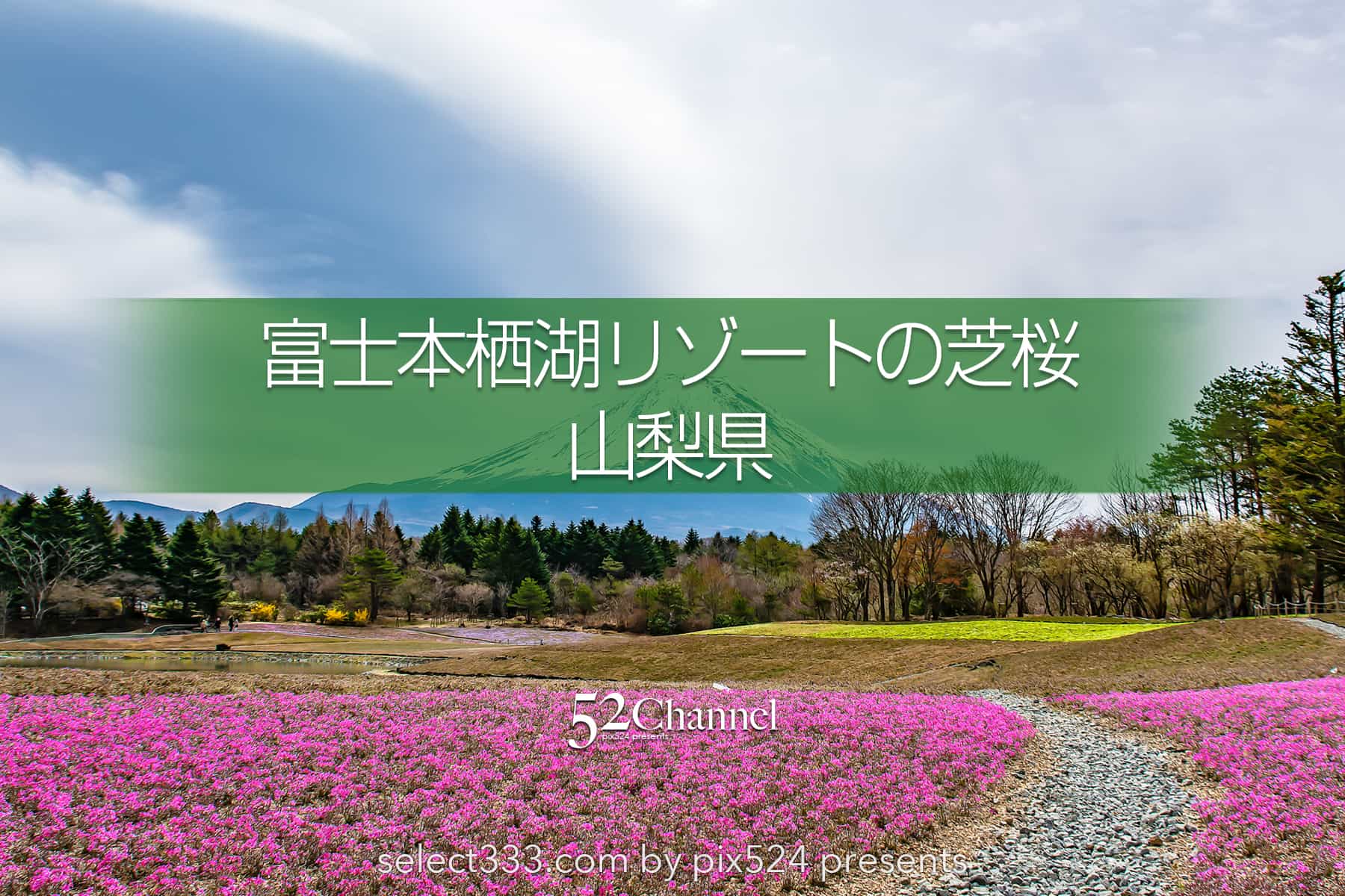 富士本栖湖リゾート芝桜と竜神池の逆さ富士!アクセスと見頃は?芝桜と富士山撮影攻略:writing and Photo by pix524:Masaya Konishi (小西雅哉)写真を楽しむブログ 主宰