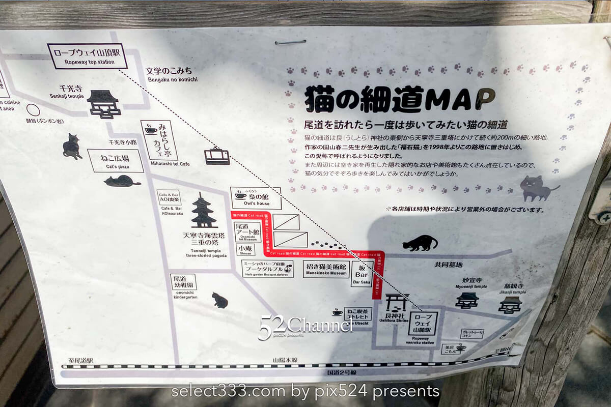 猫の細道：猫の町尾道の路地裏の散策！猫アートを楽しむ散歩道！広島県観光お勧めスポット