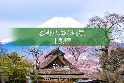 忍野八海と富士山の風景！美しい湧泉群・富士山と古民家の景色！四季を問わない撮影地alt=：writing and Photo by pix524:Masaya Konishi （小西雅哉）写真を楽しむブログ 主宰