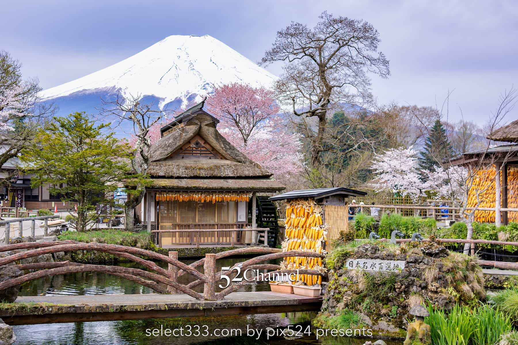 忍野八海と富士山の風景!美しい湧泉群・富士山と古民家の景色!四季を問わない撮影地alt=:writing and Photo by pix524:Masaya Konishi (小西雅哉)写真を楽しむブログ 主宰