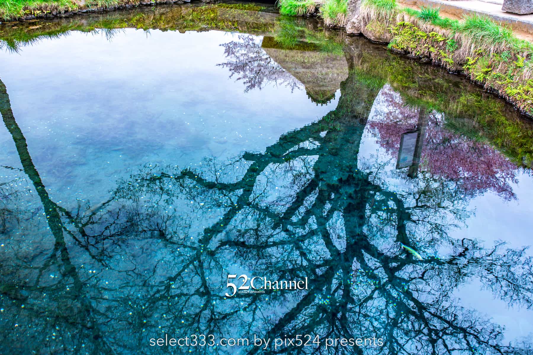 忍野八海と富士山の風景!美しい湧泉群・富士山と古民家の景色!四季を問わない撮影地alt=:writing and Photo by pix524:Masaya Konishi (小西雅哉)写真を楽しむブログ 主宰