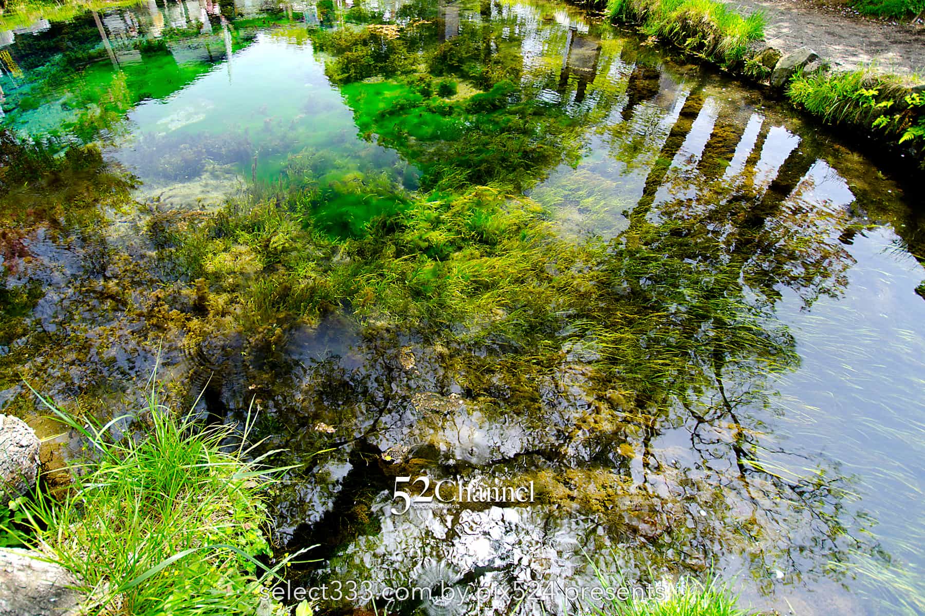 忍野八海と富士山の風景!美しい湧泉群・富士山と古民家の景色!四季を問わない撮影地alt=:writing and Photo by pix524:Masaya Konishi (小西雅哉)写真を楽しむブログ 主宰
