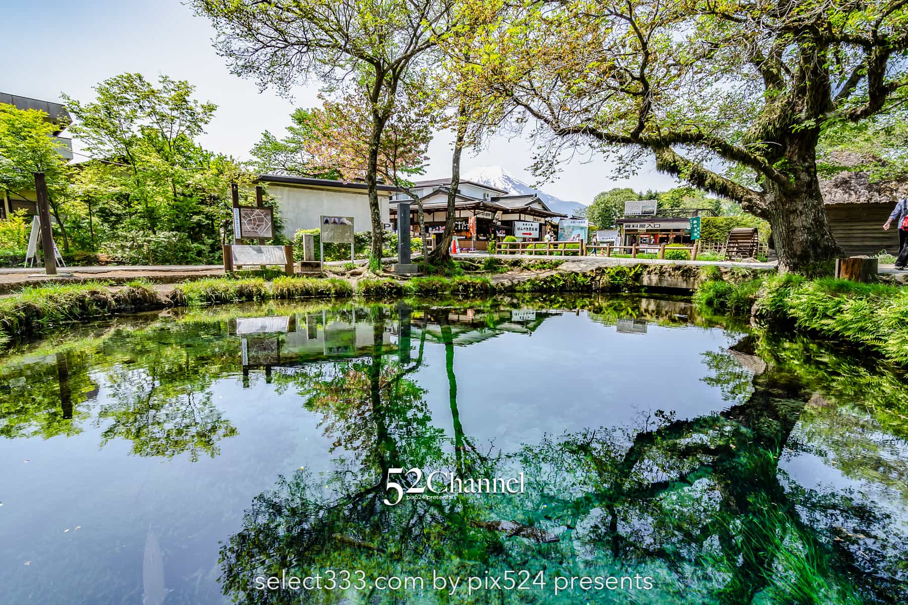 忍野八海と富士山の風景!美しい湧泉群・富士山と古民家の景色!四季を問わない撮影地alt=:writing and Photo by pix524:Masaya Konishi (小西雅哉)写真を楽しむブログ 主宰
