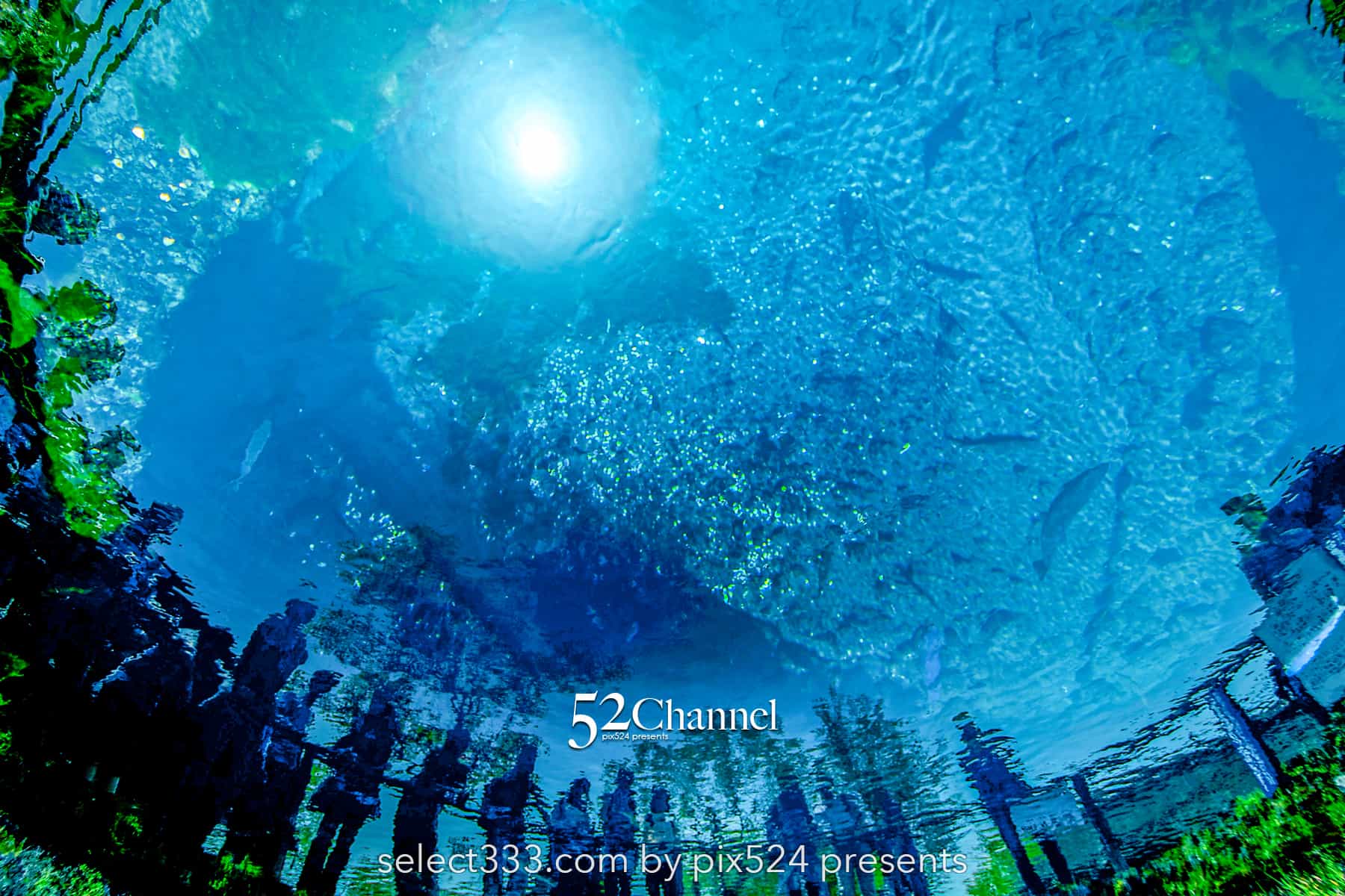 忍野八海と富士山の風景!美しい湧泉群・富士山と古民家の景色!四季を問わない撮影地alt=:writing and Photo by pix524:Masaya Konishi (小西雅哉)写真を楽しむブログ 主宰