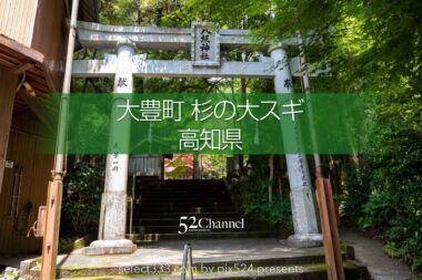 杉の大スギ：美空ひばりと縁が深い大豊町にある日本一の杉の木！高知県のパワースポット：writing and Photo by pix524:Masaya Konishi （小西雅哉）写真を楽しむブログ 主宰