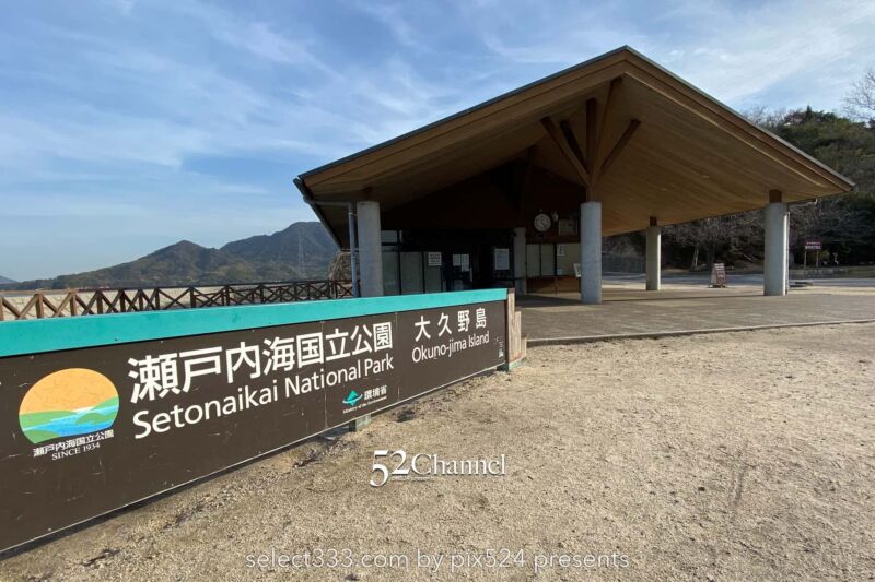 うさぎ島(大久野島):兎が集まる癒しの島!瀬戸内海のウサ天国!広島県の観光スポット