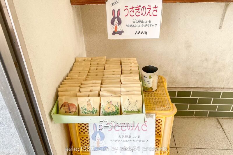 うさぎ島(大久野島):兎が集まる癒しの島!瀬戸内海のウサ天国!広島県の観光スポット