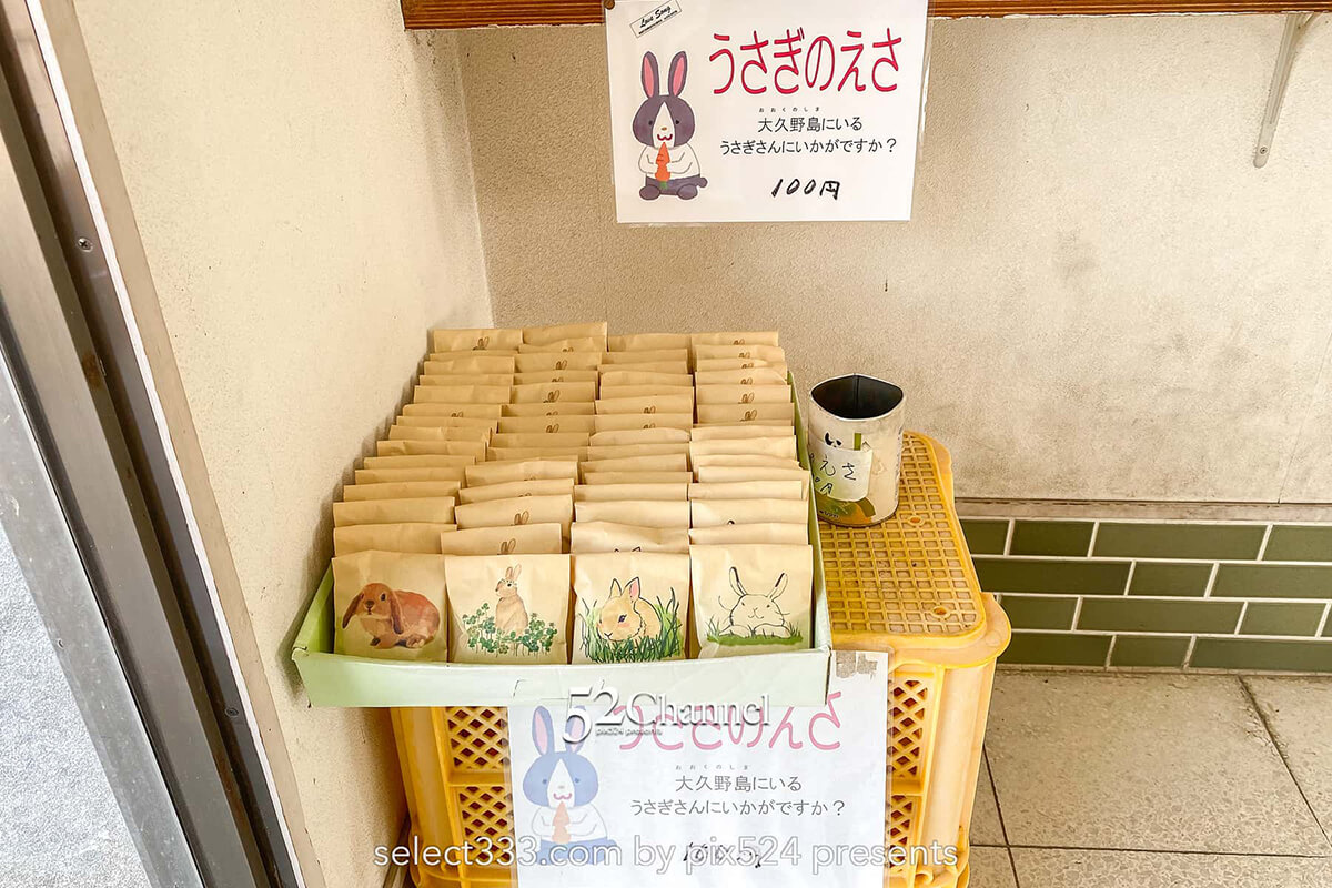 うさぎ島（大久野島）：兎が集まる癒しの島！瀬戸内海のウサ天国！広島県の観光スポット