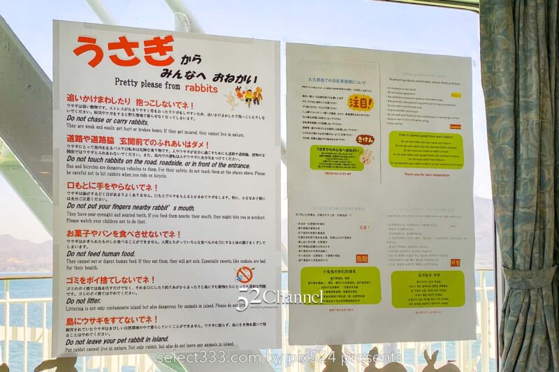 うさぎ島(大久野島):兎が集まる癒しの島!瀬戸内海のウサ天国!広島県の観光スポット