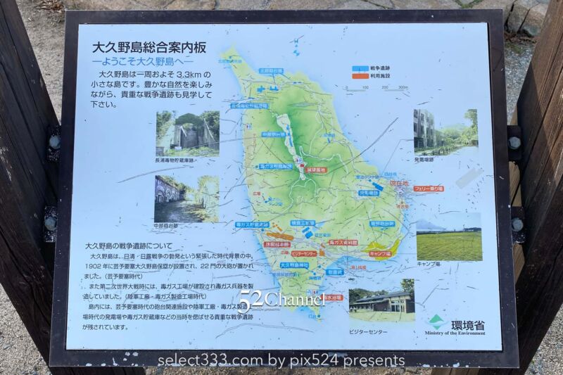 うさぎ島(大久野島):兎が集まる癒しの島!瀬戸内海のウサ天国!広島県の観光スポット