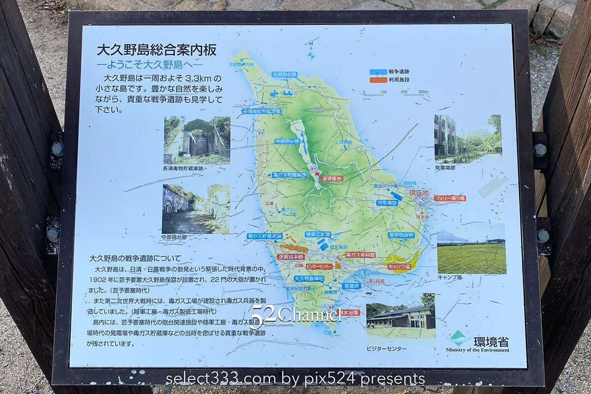 うさぎ島（大久野島）：兎が集まる癒しの島！瀬戸内海のウサ天国！広島県の観光スポット
