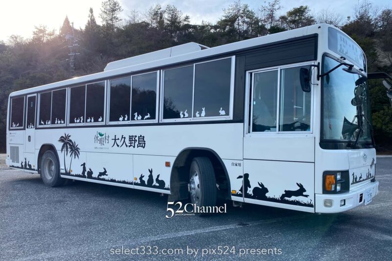 うさぎ島(大久野島):兎が集まる癒しの島!瀬戸内海のウサ天国!広島県の観光スポット