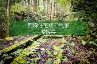 鹿森住宅跡：山の斜面に石積みの住居群跡！まるで古代遺跡の風景！愛媛県にある山中の産業遺産