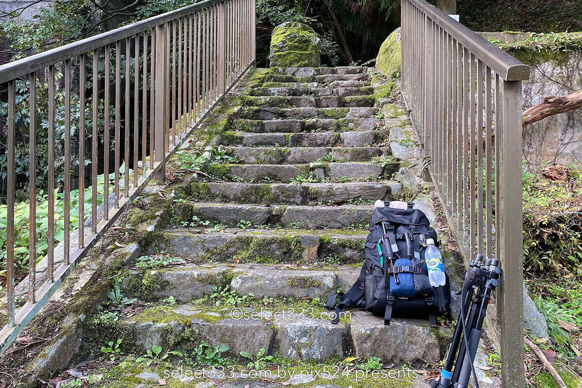 鹿森住宅跡：山の斜面に石積みの住居群跡！まるで古代遺跡の風景！愛媛県にある山中の産業遺産