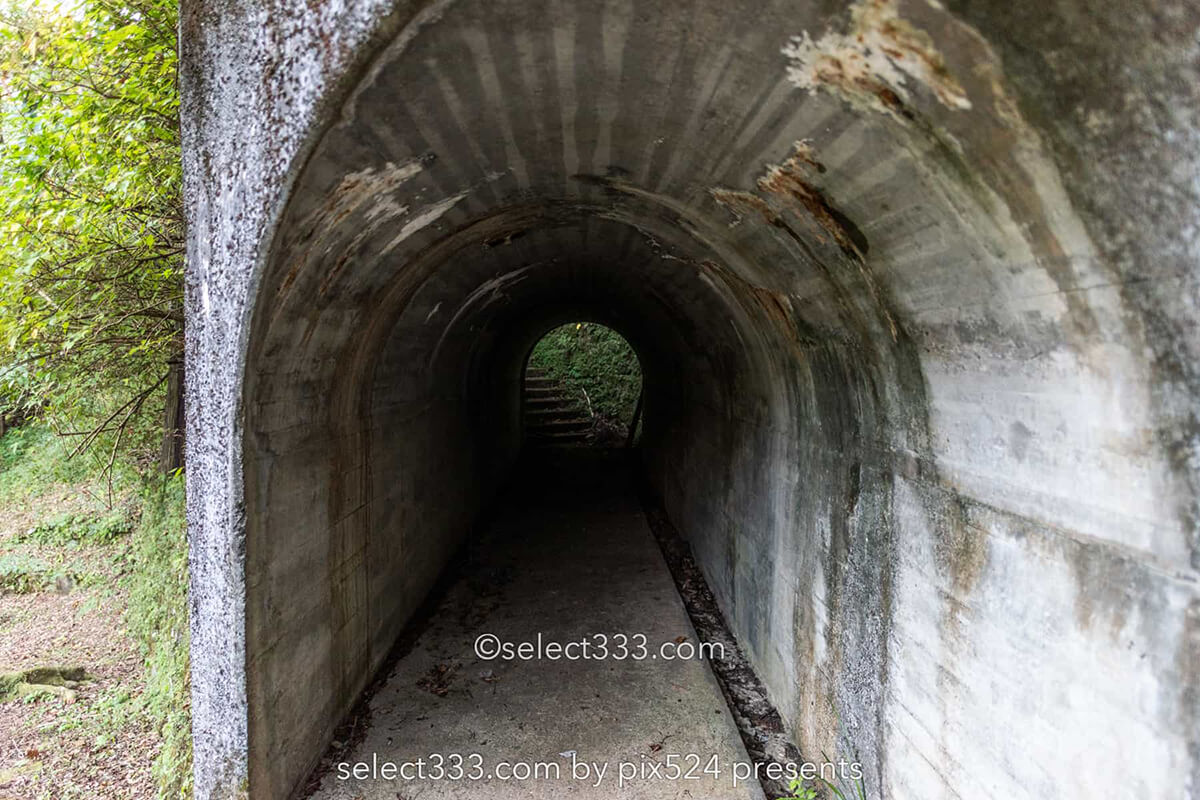 鹿森住宅跡：山の斜面に石積みの住居群跡！まるで古代遺跡の風景！愛媛県にある山中の産業遺産