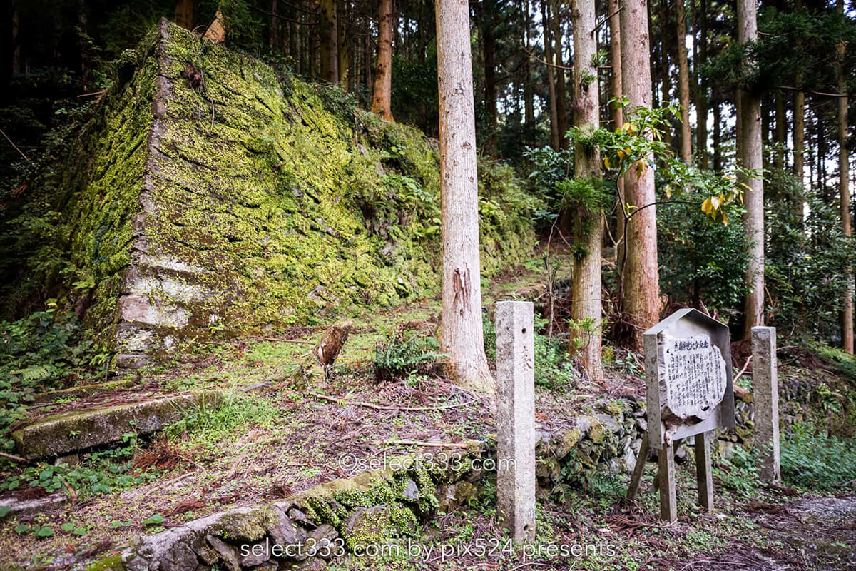 鹿森住宅跡：山の斜面に石積みの住居群跡！まるで古代遺跡の風景！愛媛県にある山中の産業遺産