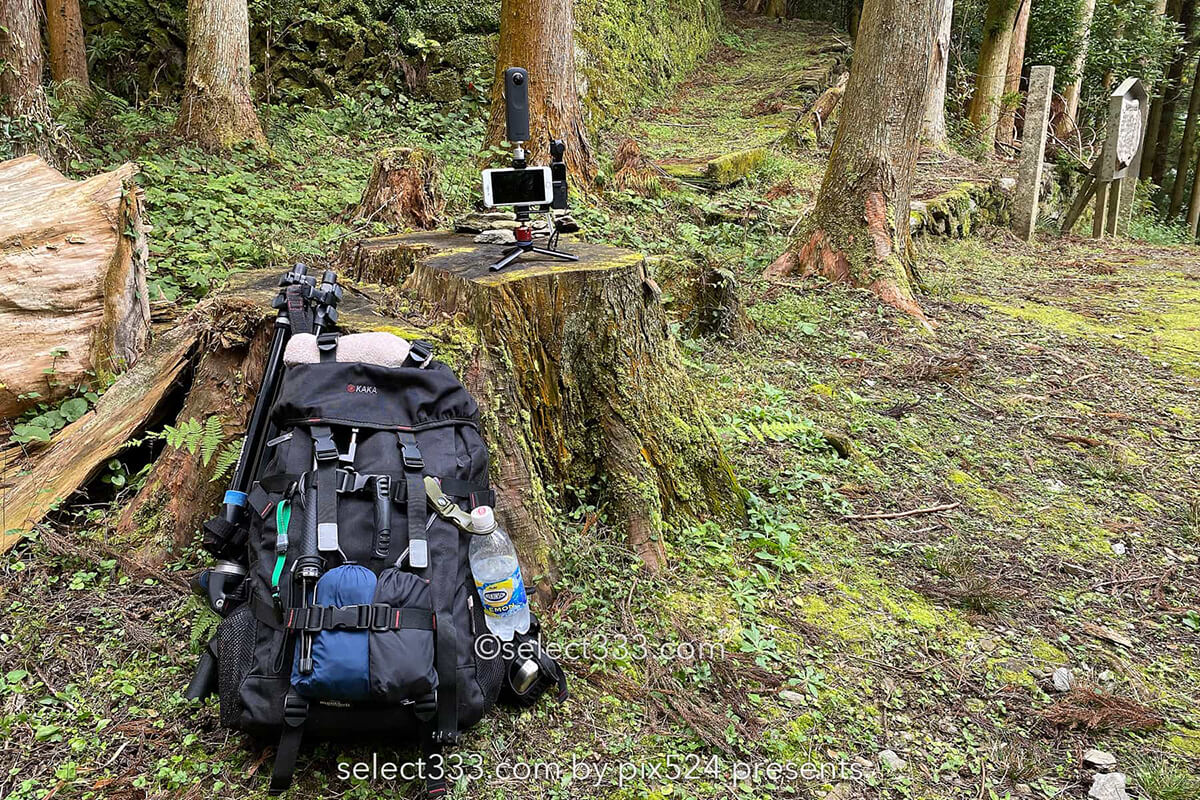 鹿森住宅跡：山の斜面に石積みの住居群跡！まるで古代遺跡の風景！愛媛県にある山中の産業遺産
