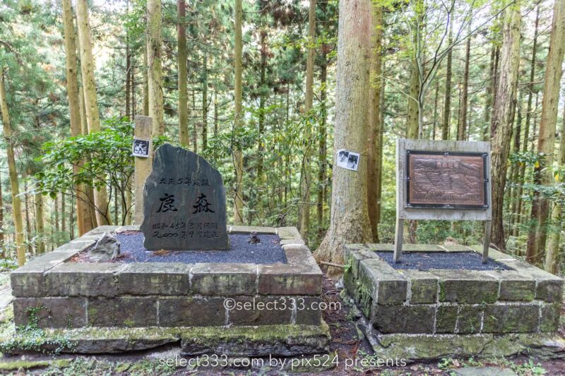 鹿森住宅跡：山の斜面に石積みの住居群跡！まるで古代遺跡の風景！愛媛県にある山中の産業遺産