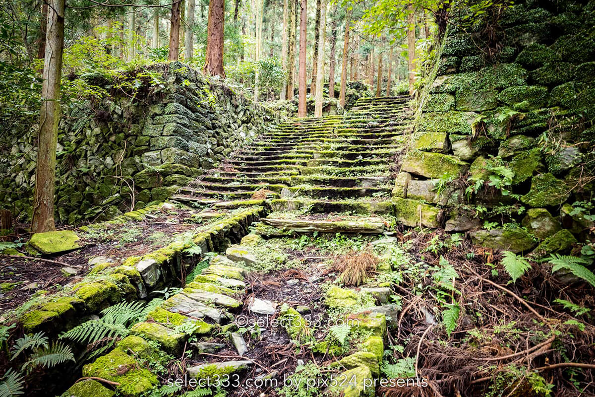 鹿森住宅跡：山の斜面に石積みの住居群跡！まるで古代遺跡の風景！愛媛県にある山中の産業遺産