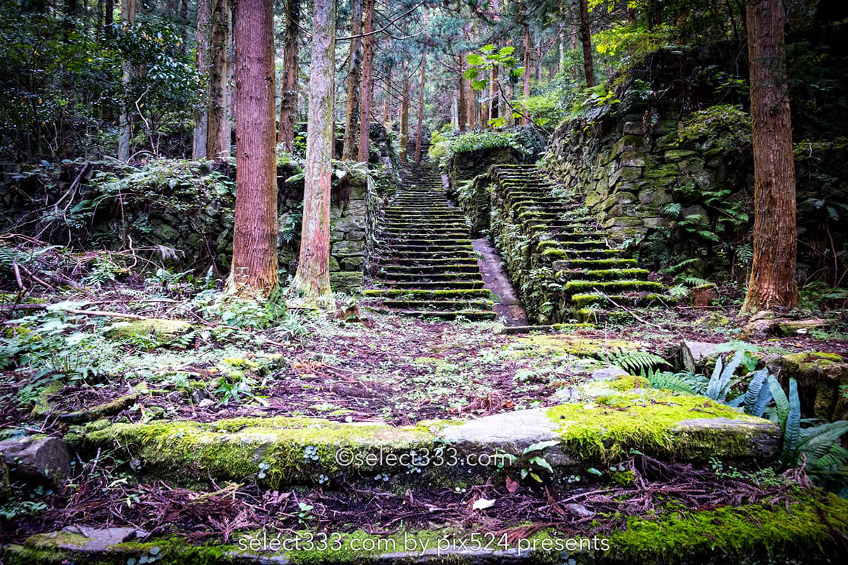 鹿森住宅跡：山の斜面に石積みの住居群跡！まるで古代遺跡の風景！愛媛県にある山中の産業遺産