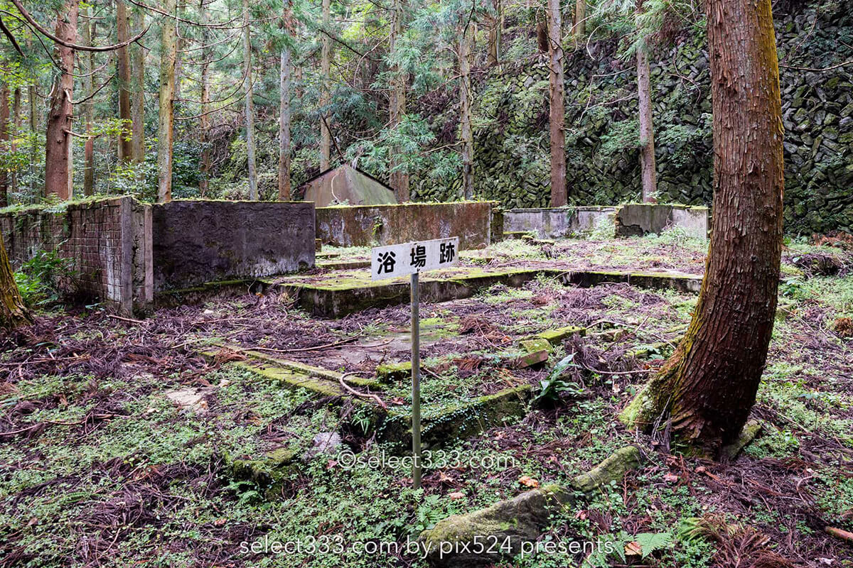 鹿森住宅跡：山の斜面に石積みの住居群跡！まるで古代遺跡の風景！愛媛県にある山中の産業遺産