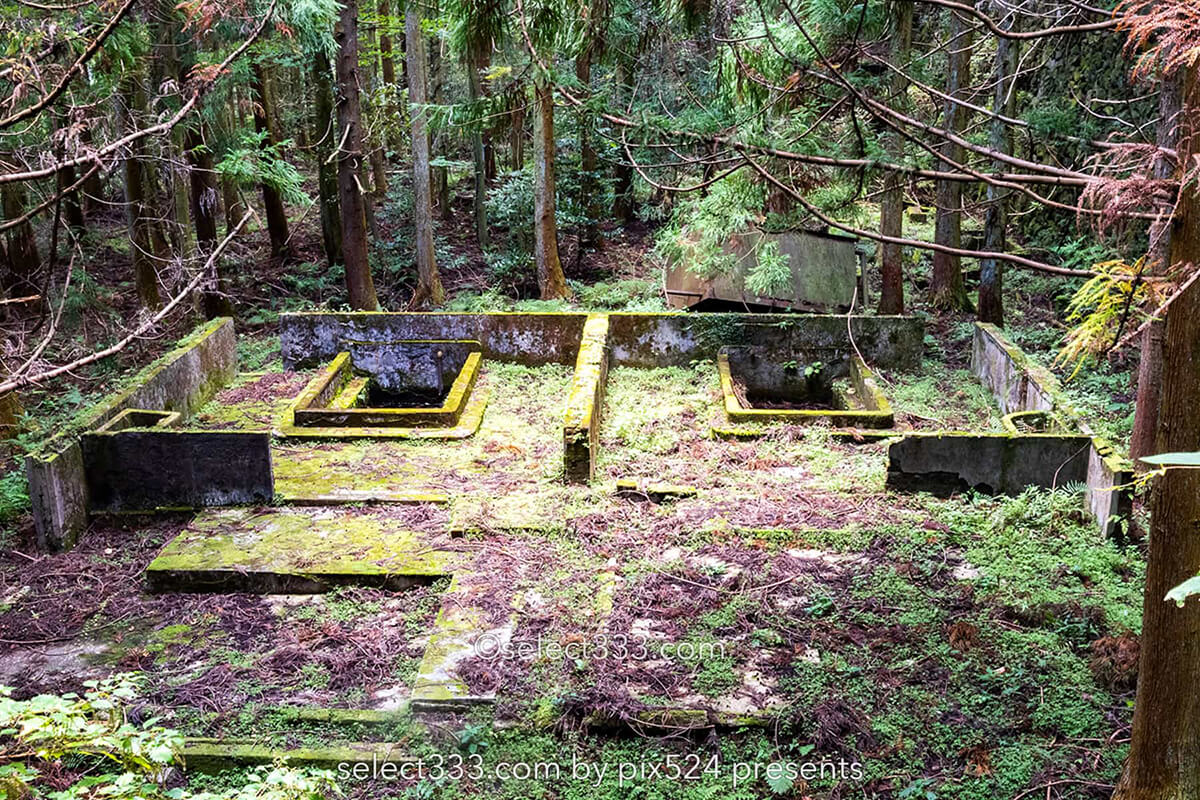 鹿森住宅跡：山の斜面に石積みの住居群跡！まるで古代遺跡の風景！愛媛県にある山中の産業遺産