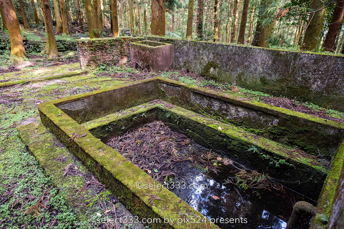 鹿森住宅跡：山の斜面に石積みの住居群跡！まるで古代遺跡の風景！愛媛県にある山中の産業遺産