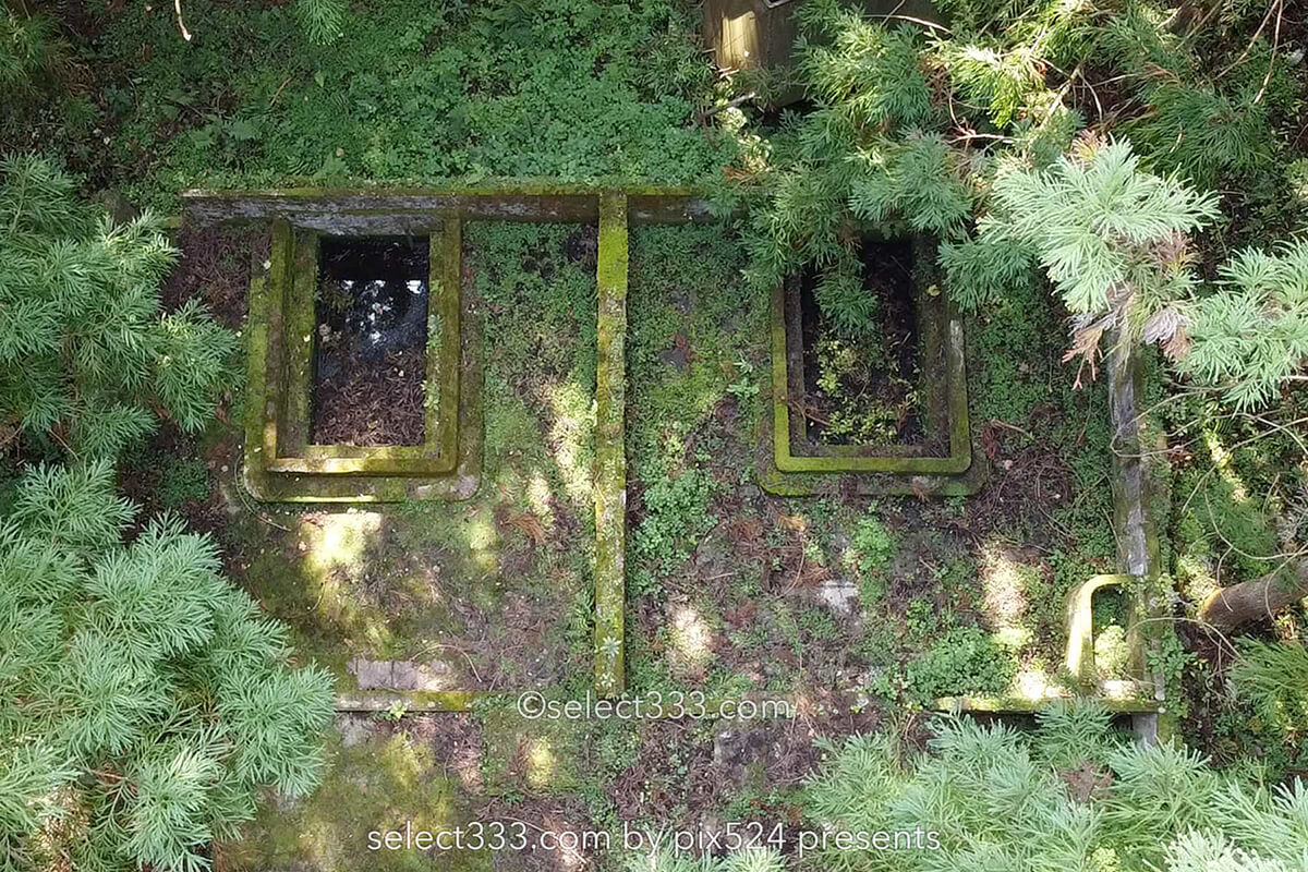 鹿森住宅跡：山の斜面に石積みの住居群跡！まるで古代遺跡の風景！愛媛県にある山中の産業遺産
