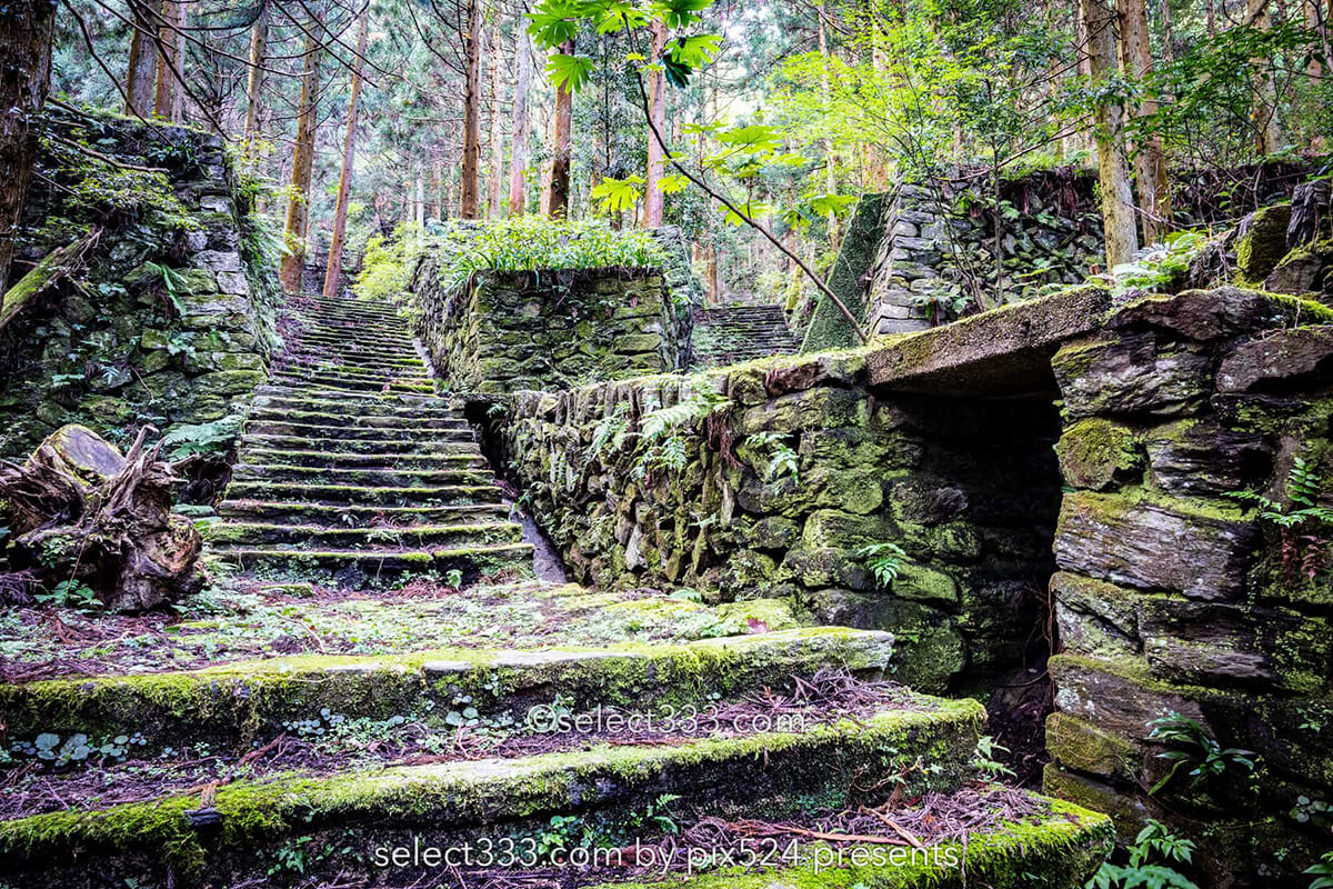 鹿森住宅跡：山の斜面に石積みの住居群跡！まるで古代遺跡の風景！愛媛県にある山中の産業遺産