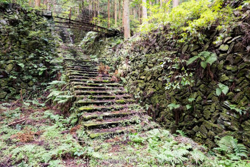 鹿森住宅跡：山の斜面に石積みの住居群跡！まるで古代遺跡の風景！愛媛県にある山中の産業遺産
