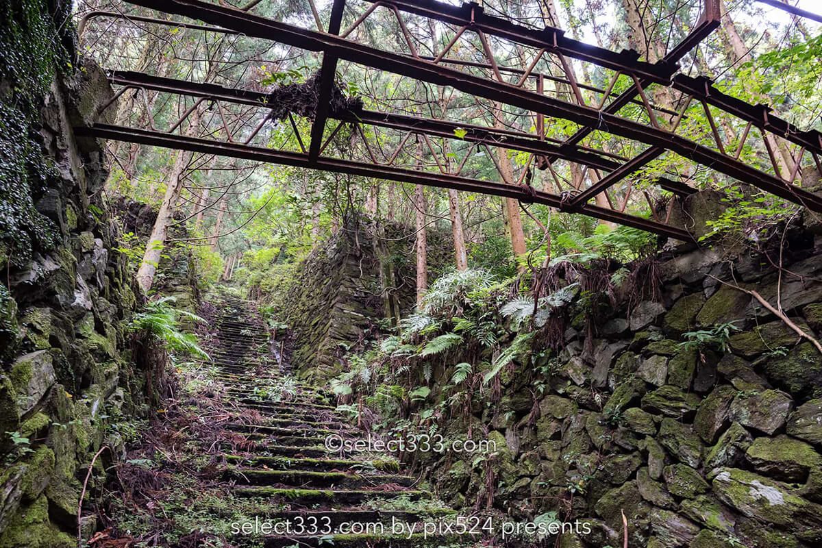 鹿森住宅跡：山の斜面に石積みの住居群跡！まるで古代遺跡の風景！愛媛県にある山中の産業遺産