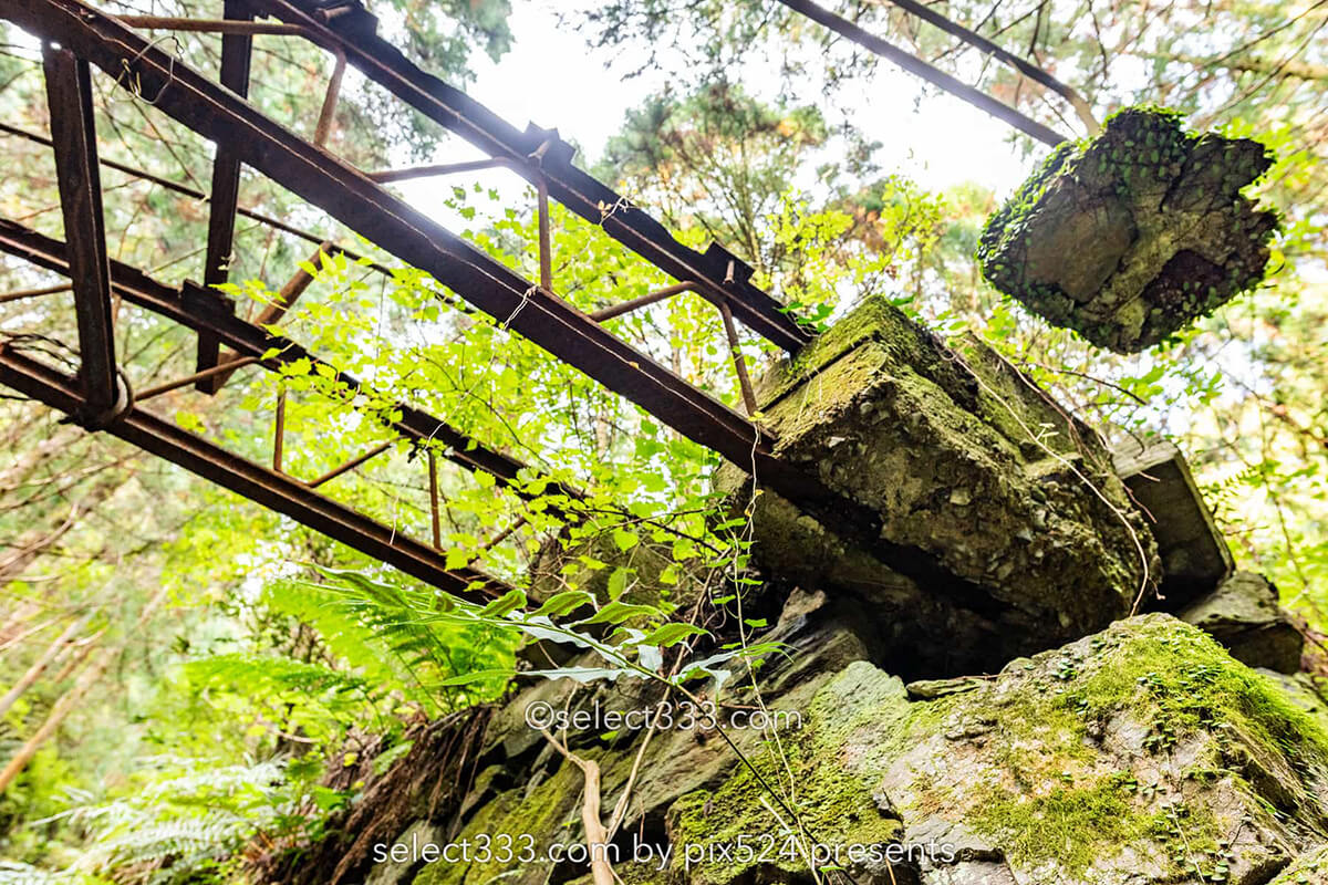 鹿森住宅跡：山の斜面に石積みの住居群跡！まるで古代遺跡の風景！愛媛県にある山中の産業遺産