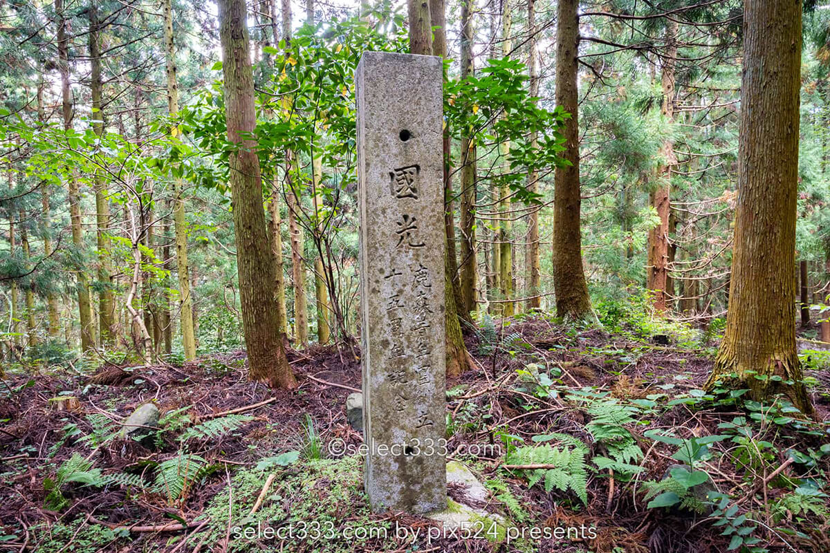 鹿森住宅跡：山の斜面に石積みの住居群跡！まるで古代遺跡の風景！愛媛県にある山中の産業遺産