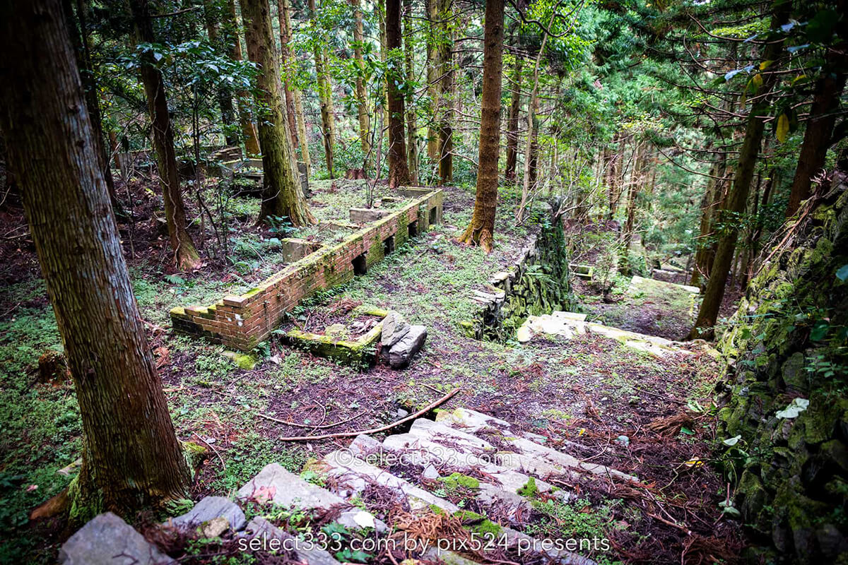 鹿森住宅跡：山の斜面に石積みの住居群跡！まるで古代遺跡の風景！愛媛県にある山中の産業遺産