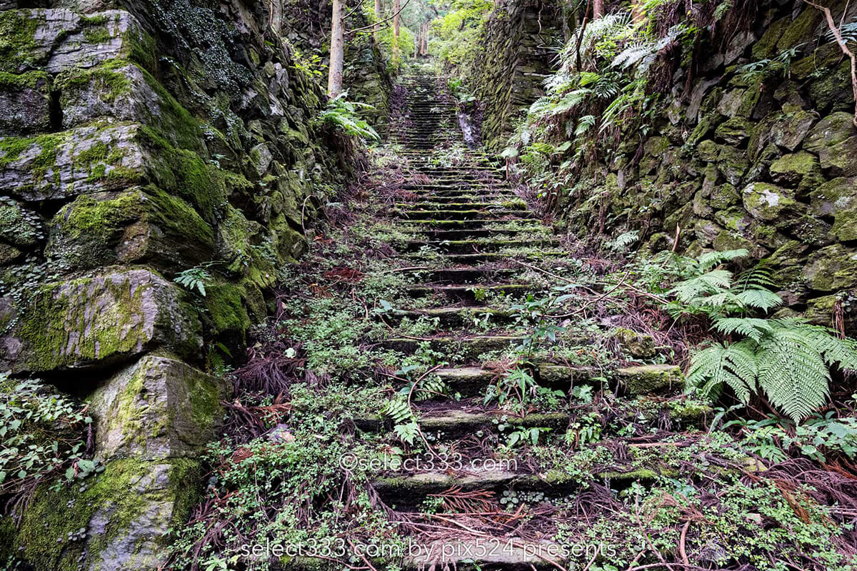 鹿森住宅跡：山の斜面に石積みの住居群跡！まるで古代遺跡の風景！愛媛県にある山中の産業遺産
