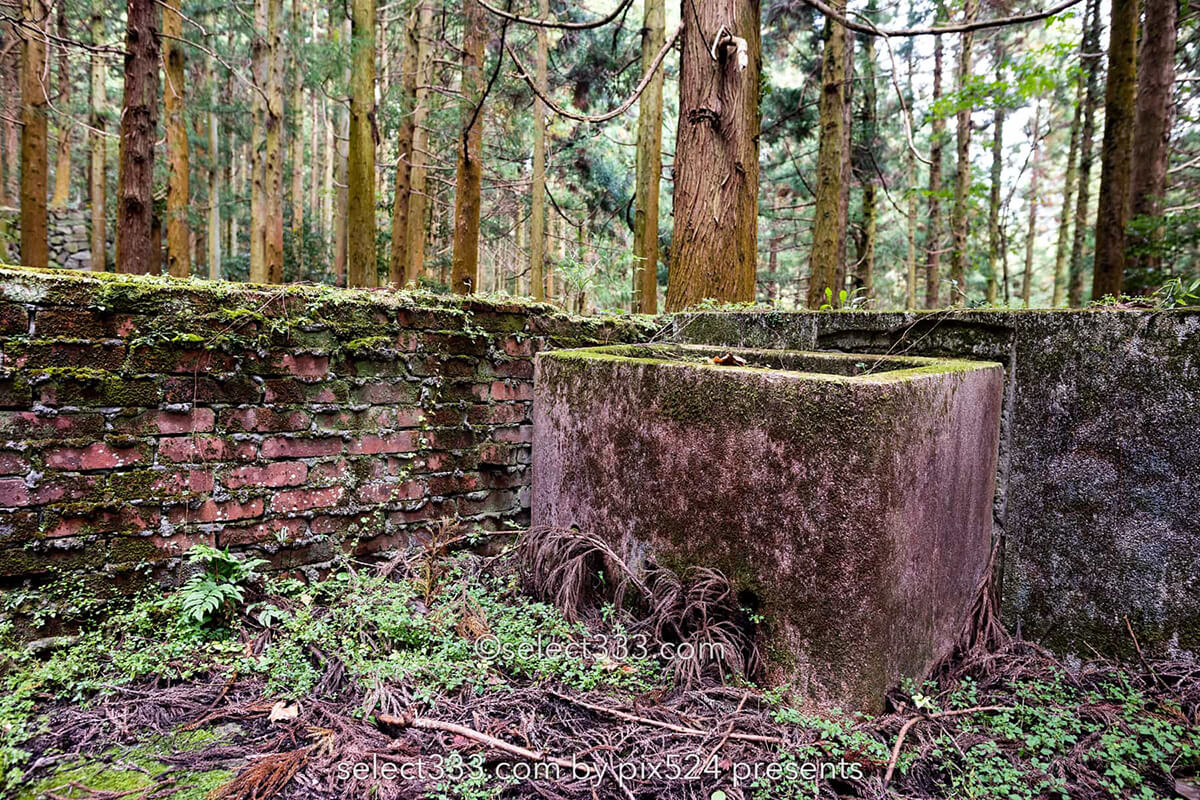 鹿森住宅跡：山の斜面に石積みの住居群跡！まるで古代遺跡の風景！愛媛県にある山中の産業遺産
