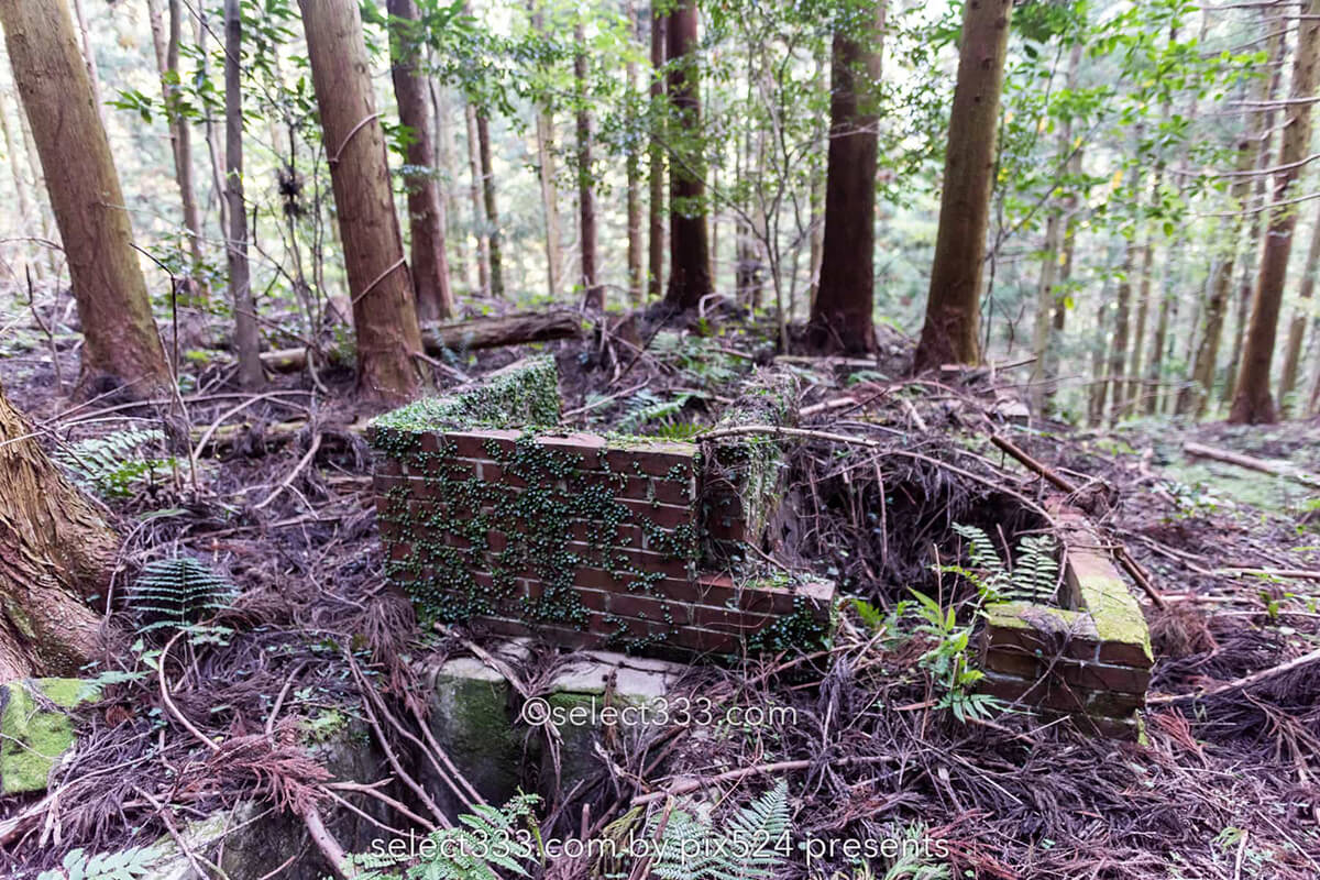 鹿森住宅跡：山の斜面に石積みの住居群跡！まるで古代遺跡の風景！愛媛県にある山中の産業遺産