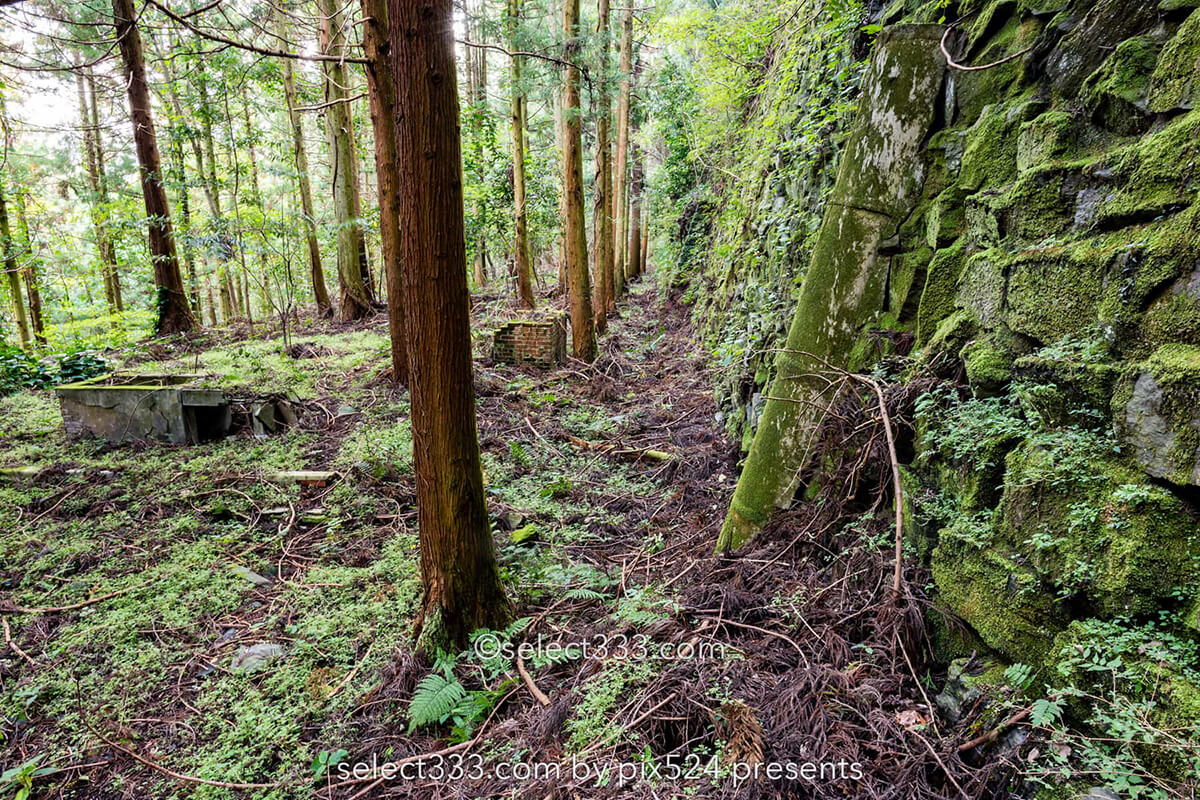 鹿森住宅跡：山の斜面に石積みの住居群跡！まるで古代遺跡の風景！愛媛県にある山中の産業遺産