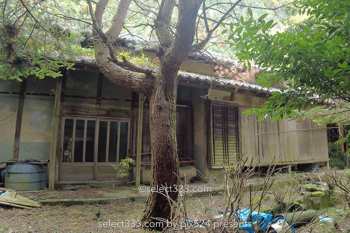 鹿森住宅跡：山の斜面に石積みの住居群跡！まるで古代遺跡の風景！愛媛県にある山中の産業遺産