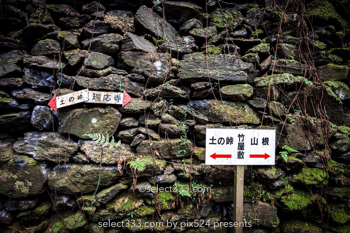鹿森住宅跡：山の斜面に石積みの住居群跡！まるで古代遺跡の風景！愛媛県にある山中の産業遺産